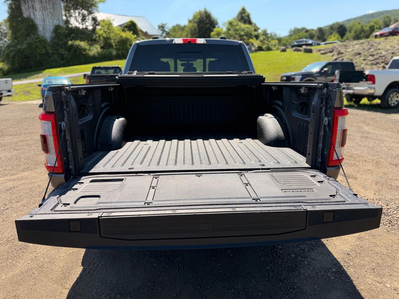 Ford F-150 Platinum SuperCrew 4WD 2022