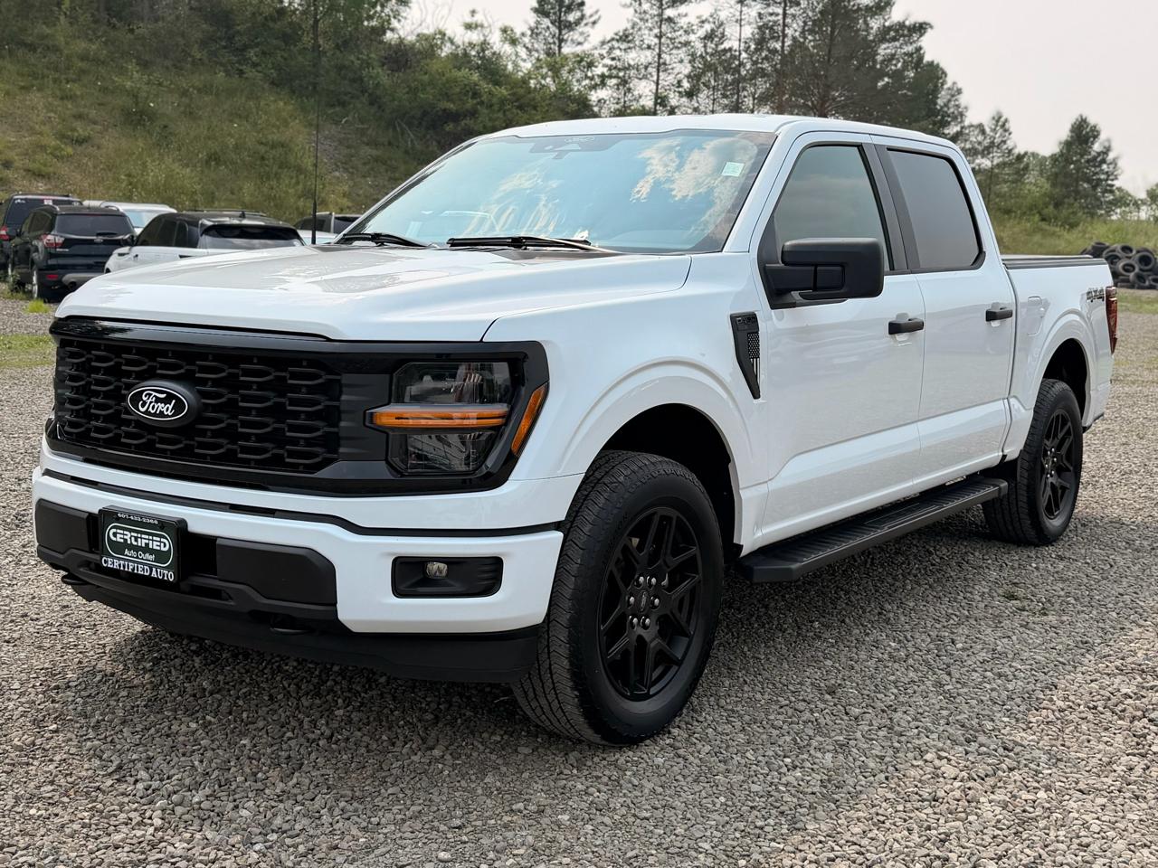 Ford F-150 STX SuperCrew 4WD 2025
