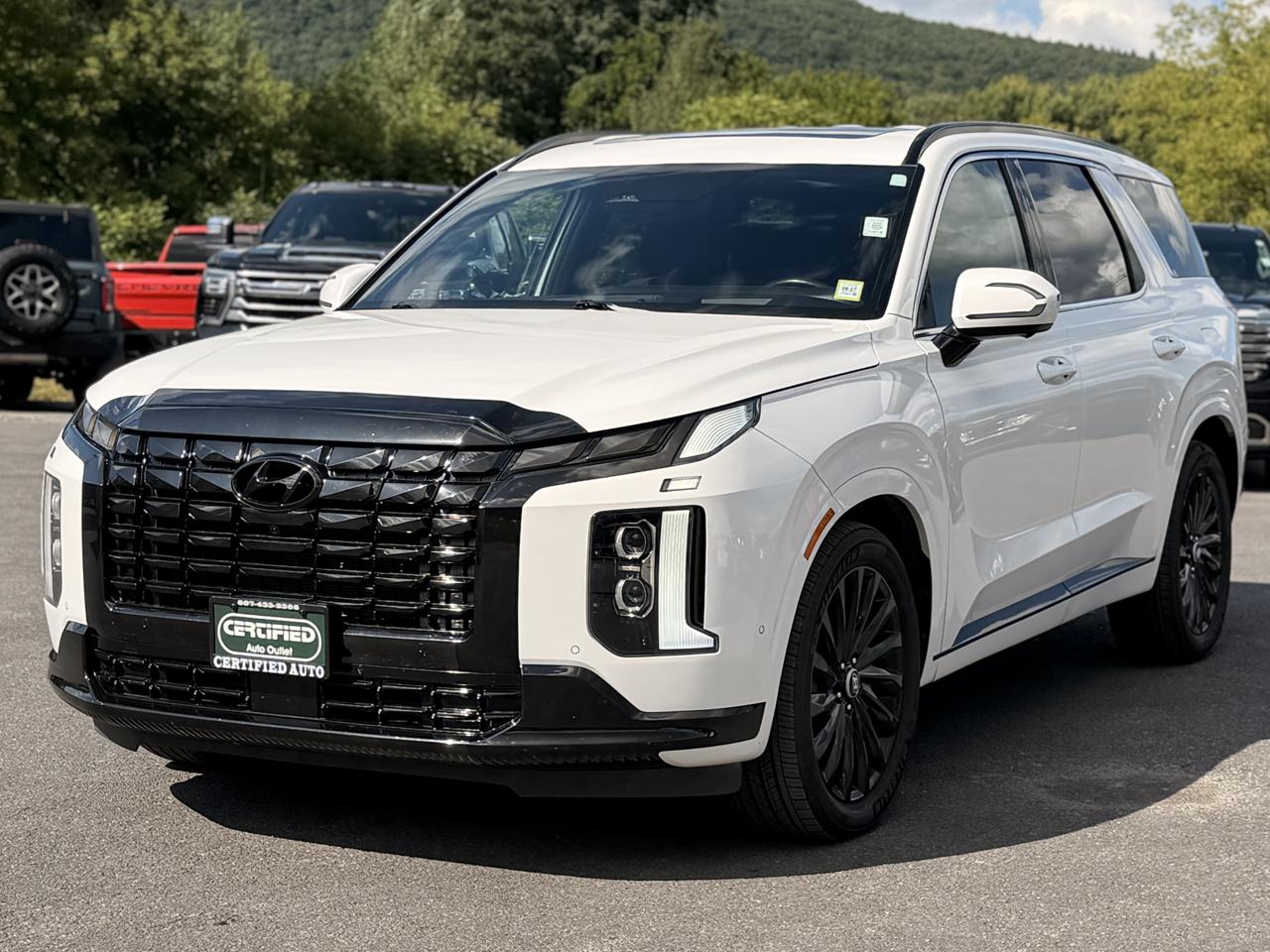 Hyundai Palisade Calligraphy AWD 2024
