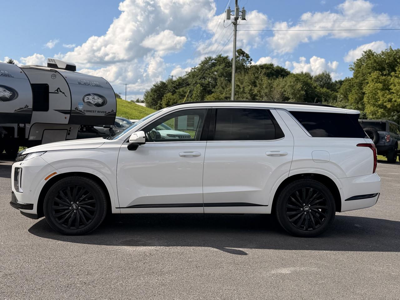 Hyundai Palisade Calligraphy AWD 2024