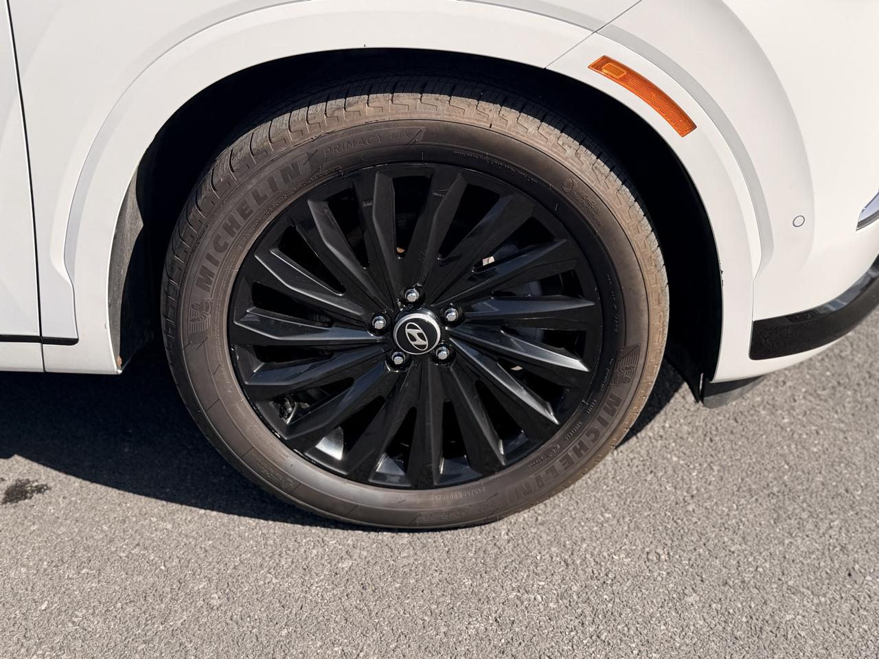 Hyundai Palisade Calligraphy AWD 2024
