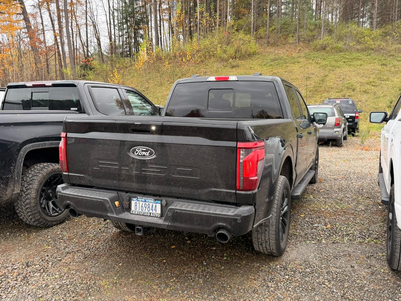 Ford F-150  2024