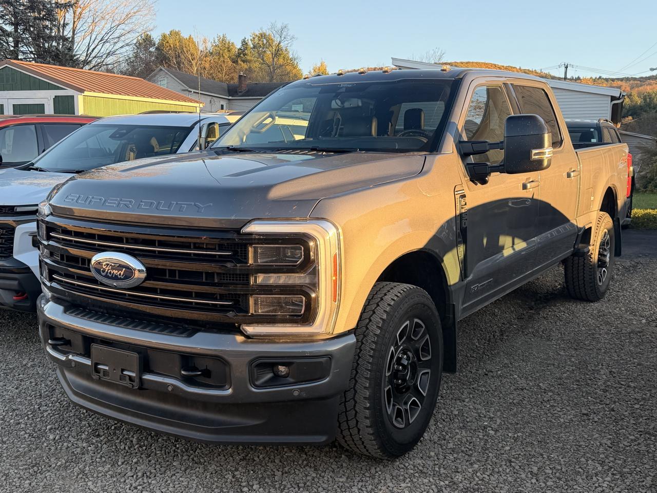 Ford F-250 SD Platinum Crew Cab 4WD 2026