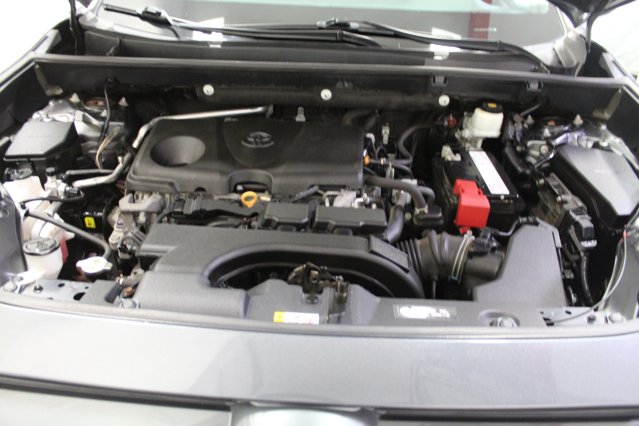 Toyota RAV4 XLE AWD (Natl) 2019