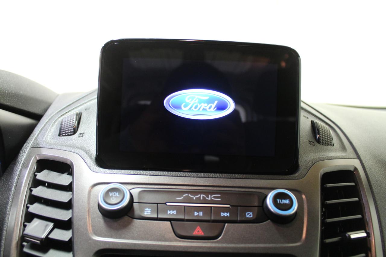 Ford Transit Connect Van XLT LWB w/Rear Symmetrical Doors 2020