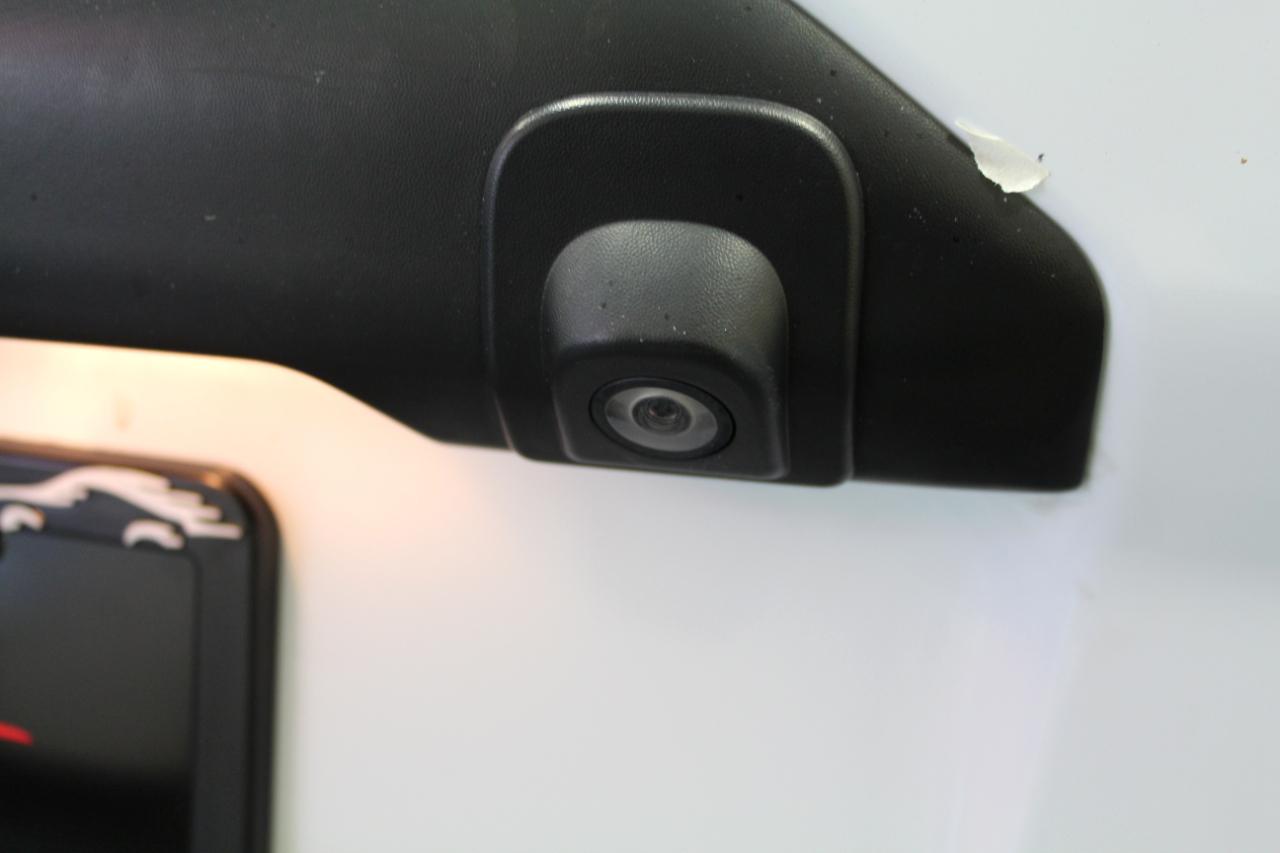 Ford Transit Connect Van XL LWB w/Rear Symmetrical Doors 2020