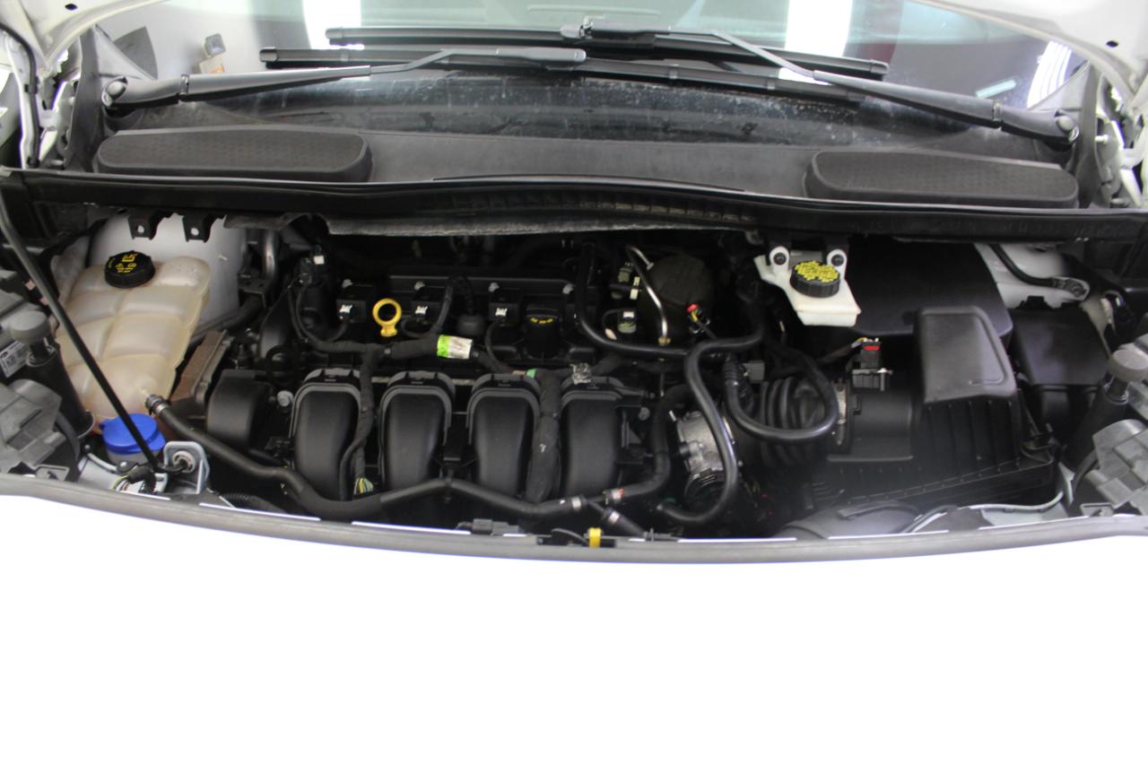 Ford Transit Connect Van XLT LWB w/Rear Symmetrical Doors 2019