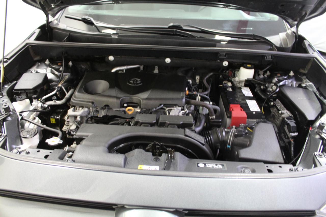 Toyota RAV4 XLE AWD (Natl) 2020