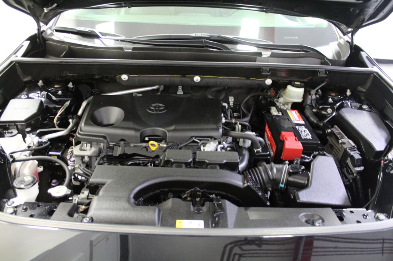 Toyota RAV4 XLE Premium AWD (Natl) 2019
