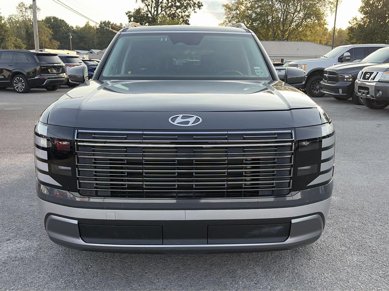Hyundai Palisade photo 6
