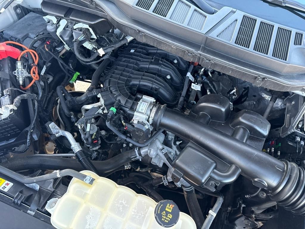 Ford F-150 XL 6.5-ft. Bed 2WD 2023