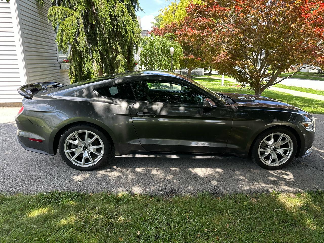 Ford Mustang Eco Premium 2015