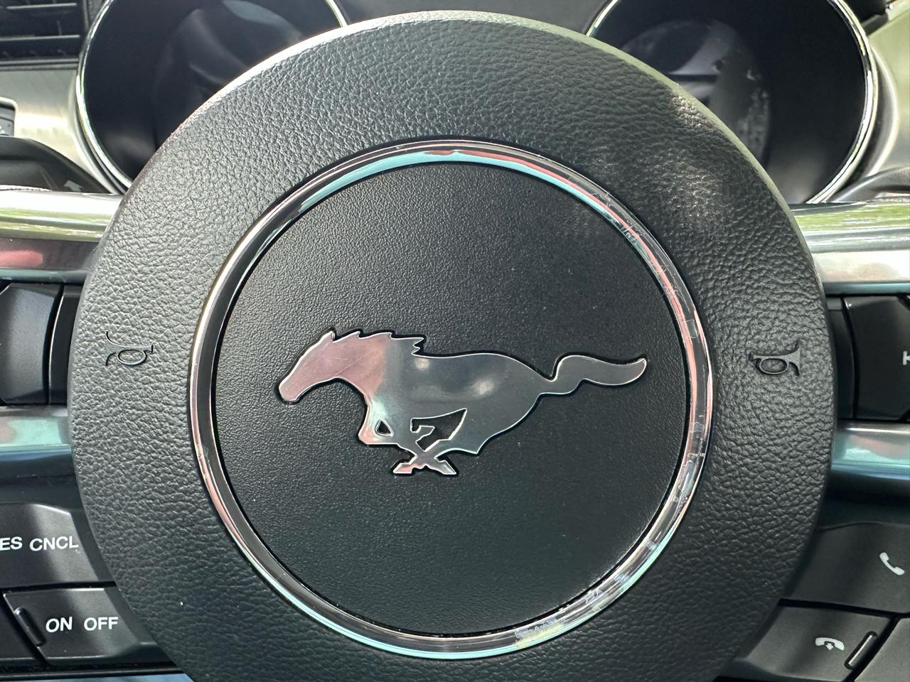Ford Mustang Eco Premium 2015