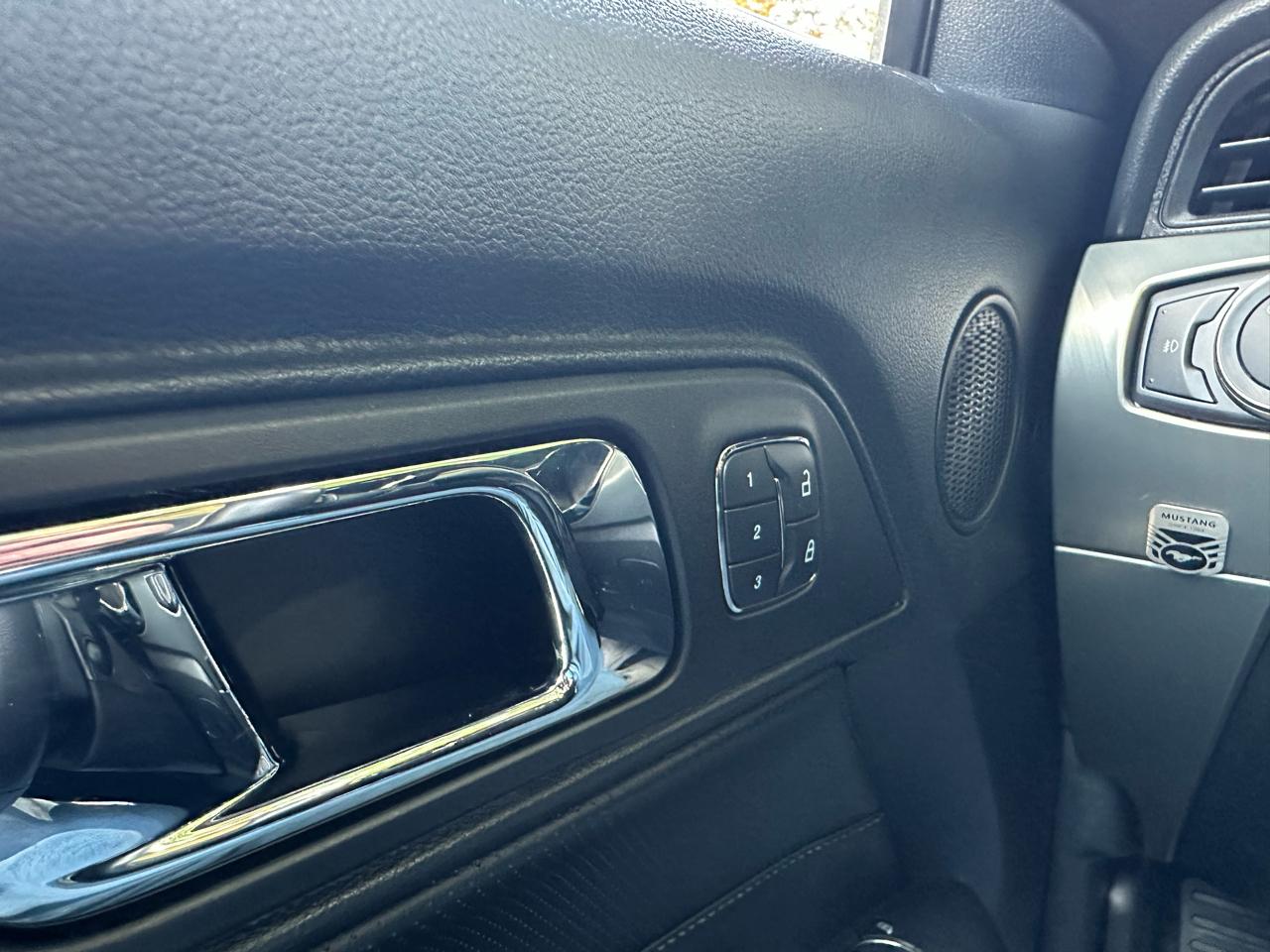 Ford Mustang Eco Premium 2015
