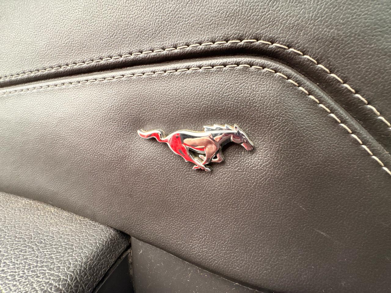 Ford Mustang 2dr Cpe GT 2014