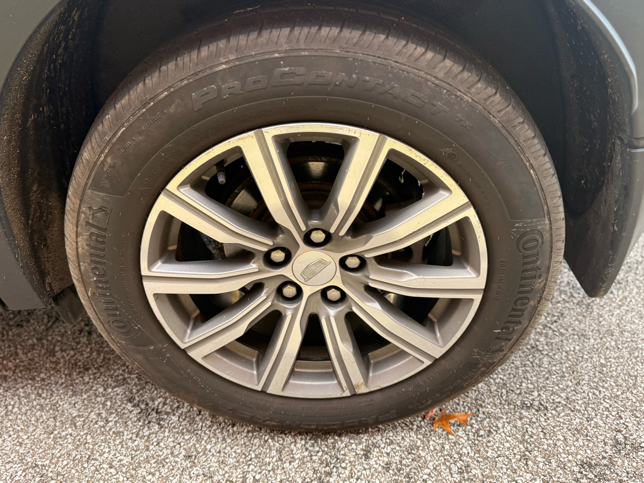 Cadillac XT4  2019 Cadillac XT4  2019