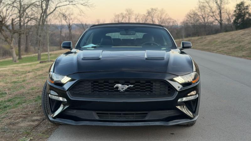 Ford Mustang EcoBoost Premium Convertible 2018