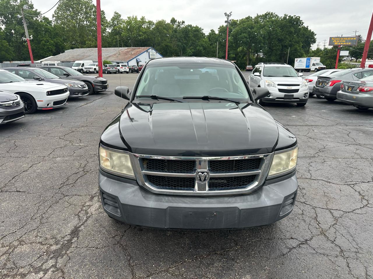 Dodge Dakota 4WD Crew Cab SXT 2008