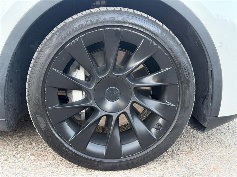 Tesla Model Y  2022