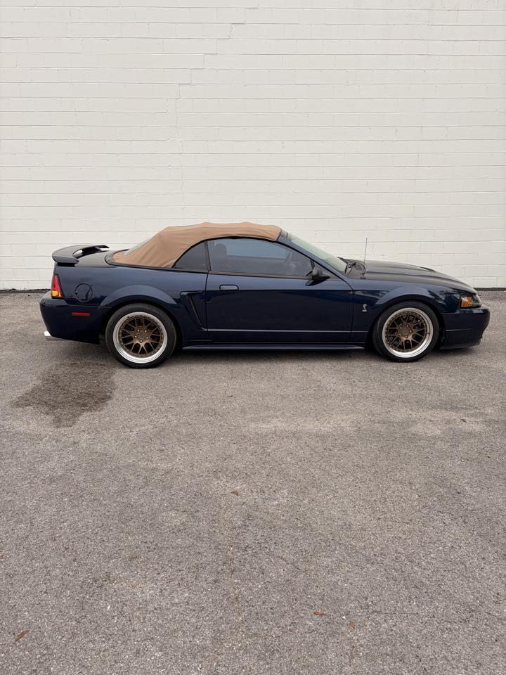 Ford Mustang 2dr Convertible SVT Cobra 2001