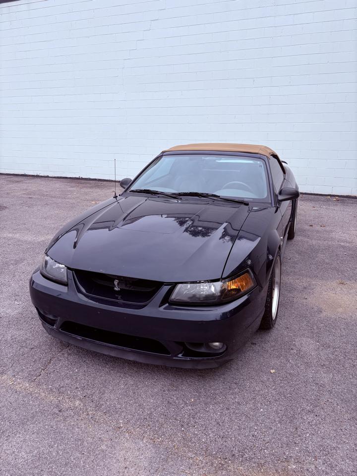 Ford Mustang 2dr Convertible SVT Cobra 2001