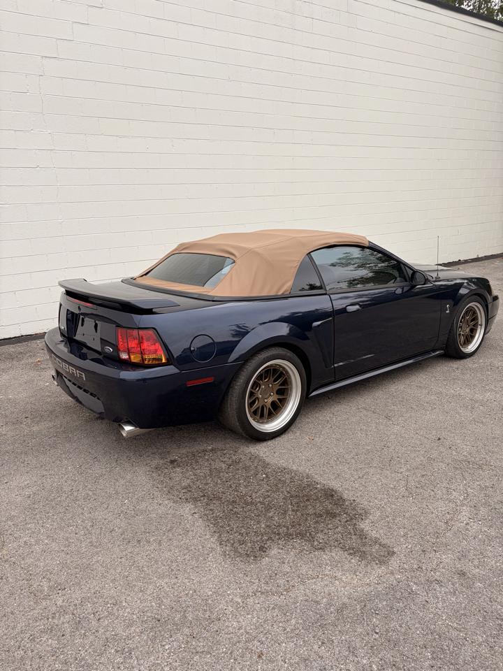 Ford Mustang 2dr Convertible SVT Cobra 2001