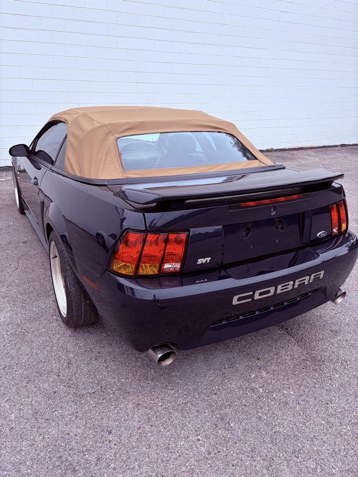 Ford Mustang 2dr Convertible SVT Cobra 2001