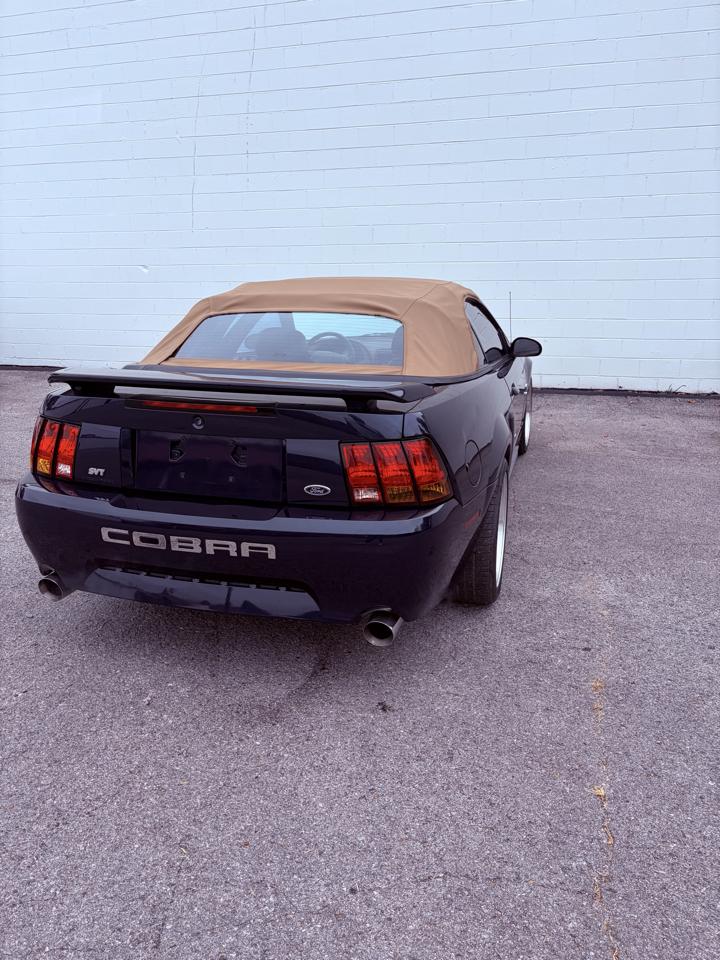 Ford Mustang 2dr Convertible SVT Cobra 2001