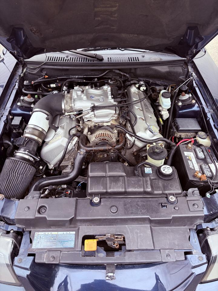 Ford Mustang 2dr Convertible SVT Cobra 2001