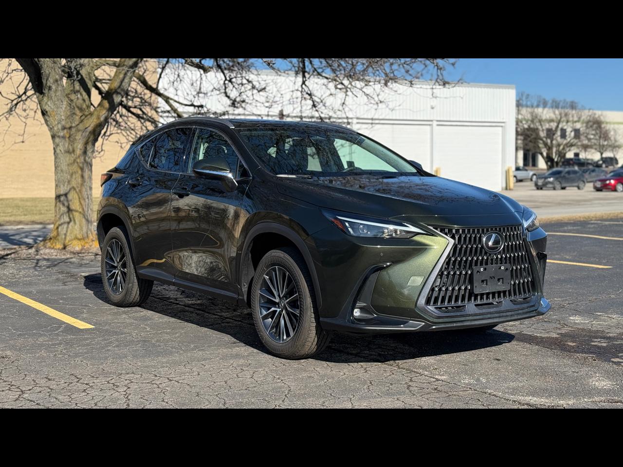 Lexus NX 350h Premium AWD 2025