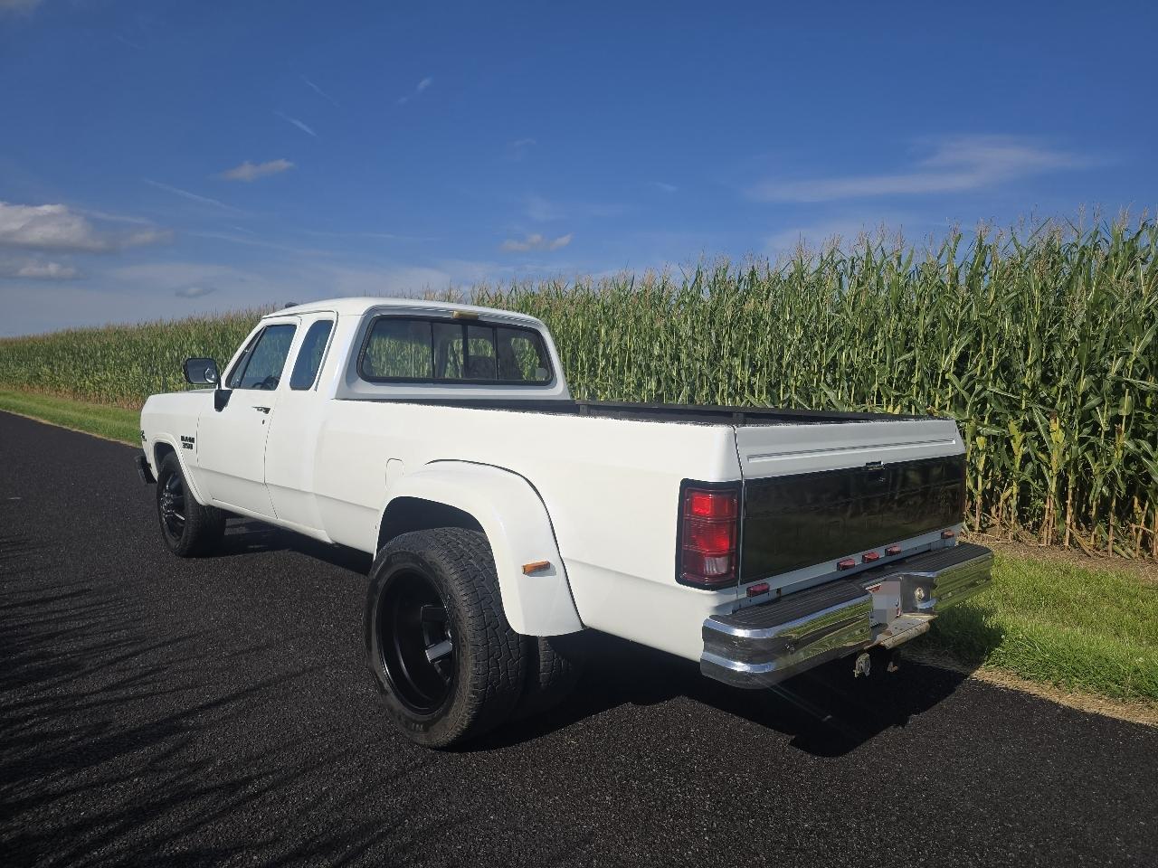 Dodge D350 Club Cab 8-ft. Bed 2WD 1993