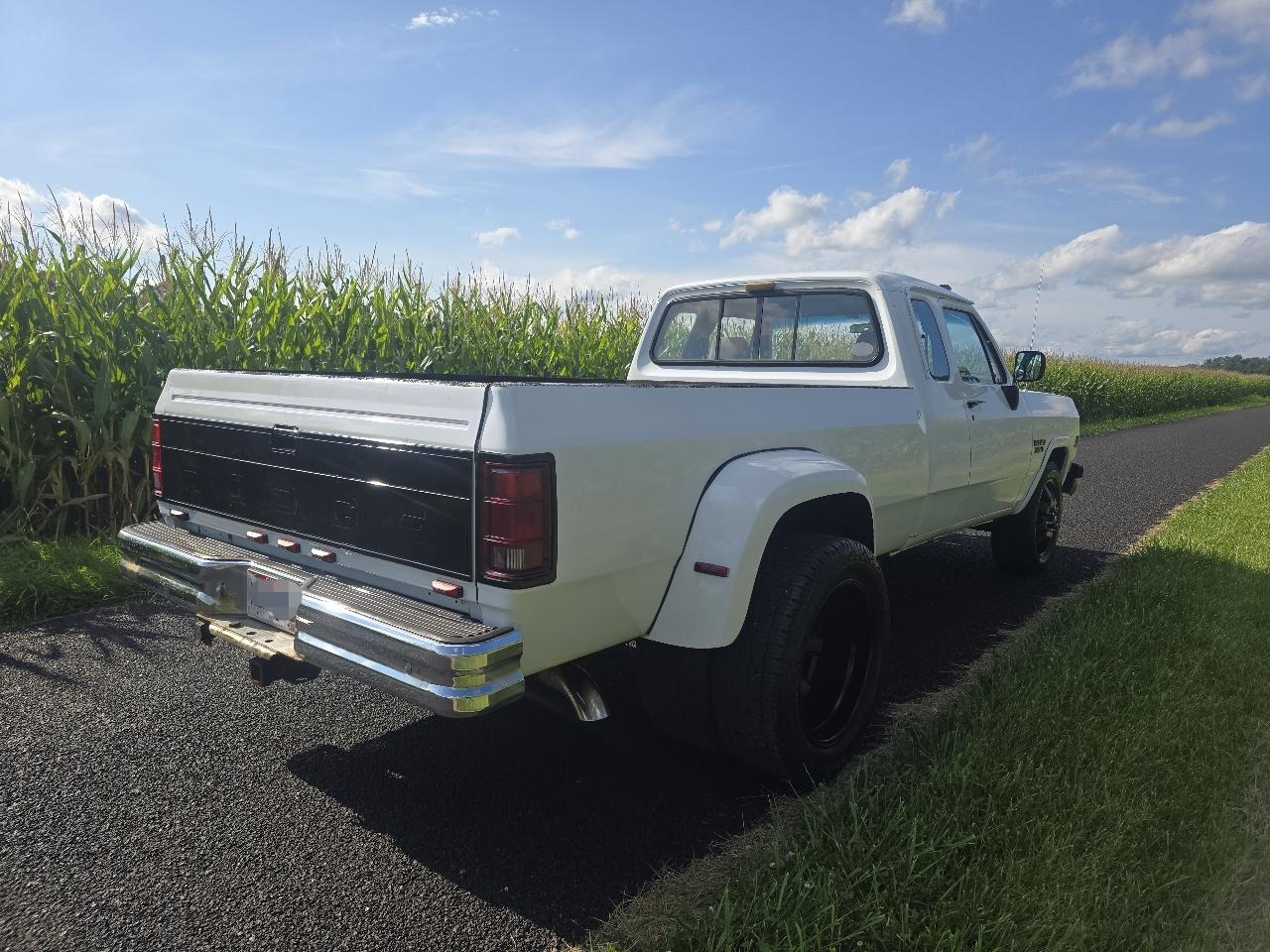 Dodge D350 Club Cab 8-ft. Bed 2WD 1993