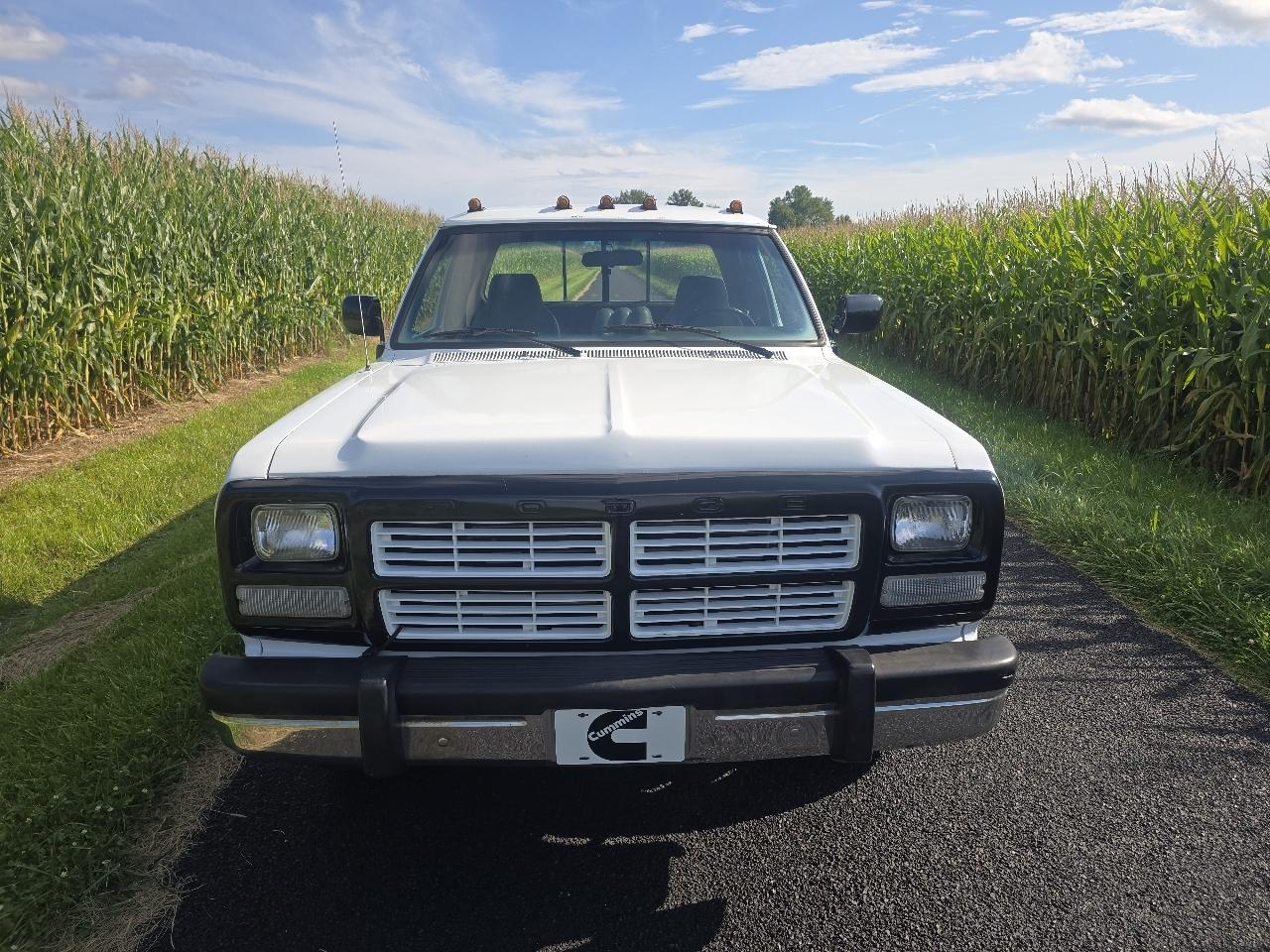 Dodge D350 Club Cab 8-ft. Bed 2WD 1993