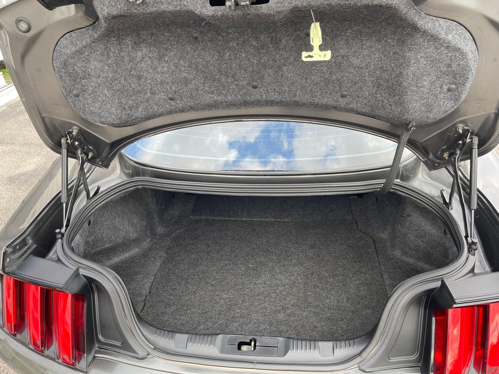 Ford Mustang EcoBoost Coupe 2017