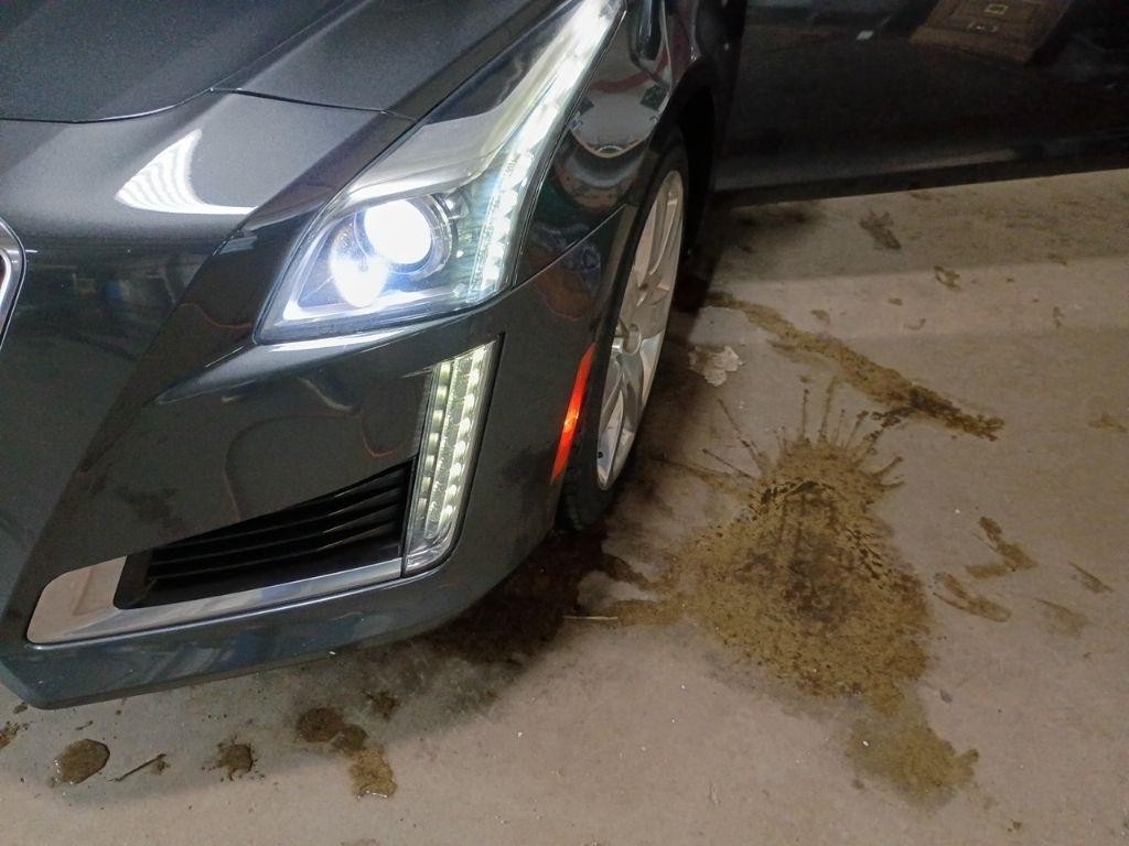 Cadillac CTS Sedan 4dr Sdn 2.0L Turbo Luxury Collection AWD 2016