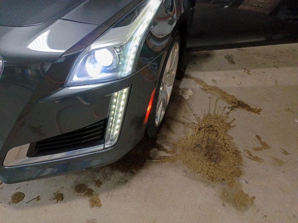 Cadillac CTS Sedan 4dr Sdn 2.0L Turbo Luxury Collection AWD 2016