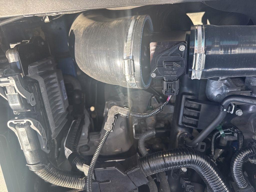 Honda Civic Si Coupe Manual w/Summer Tires 2020