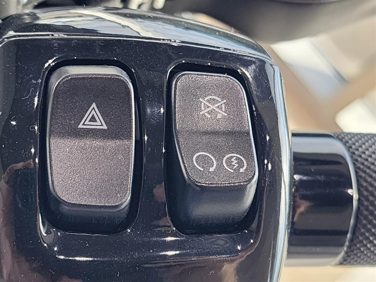 Harley-Davidson FLTRX  2024