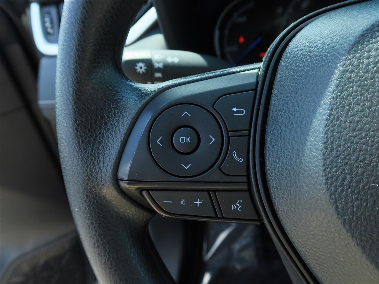 Toyota RAV4 Hybrid LE 2024
