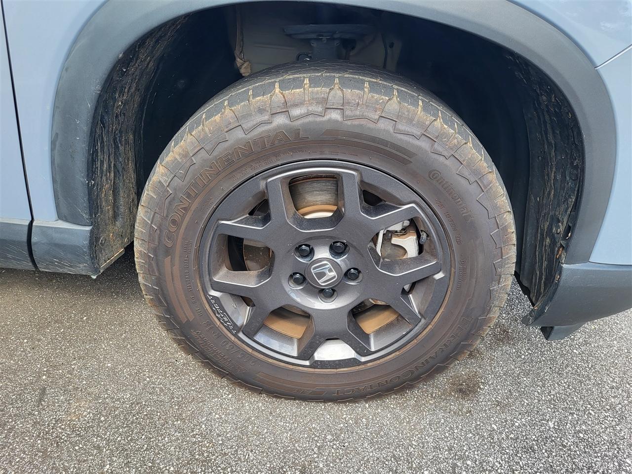 Honda Pilot TrailSport AWD 2024
