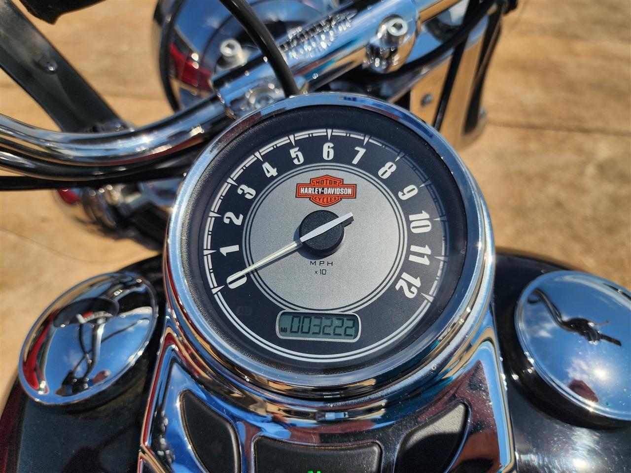 Harley-Davidson FLSTC103  2017
