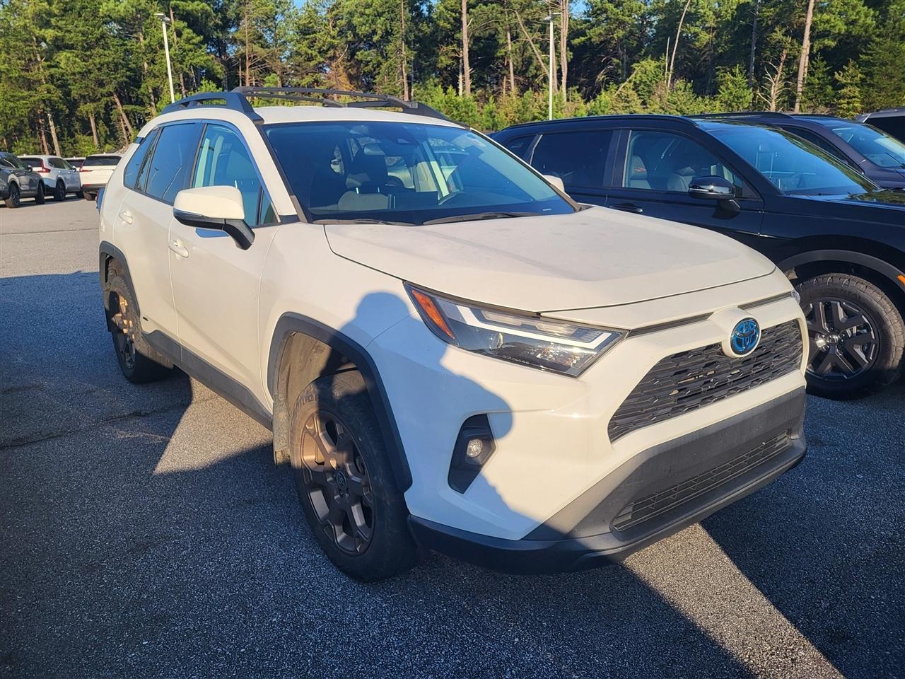 Toyota RAV4 Woodland 2023