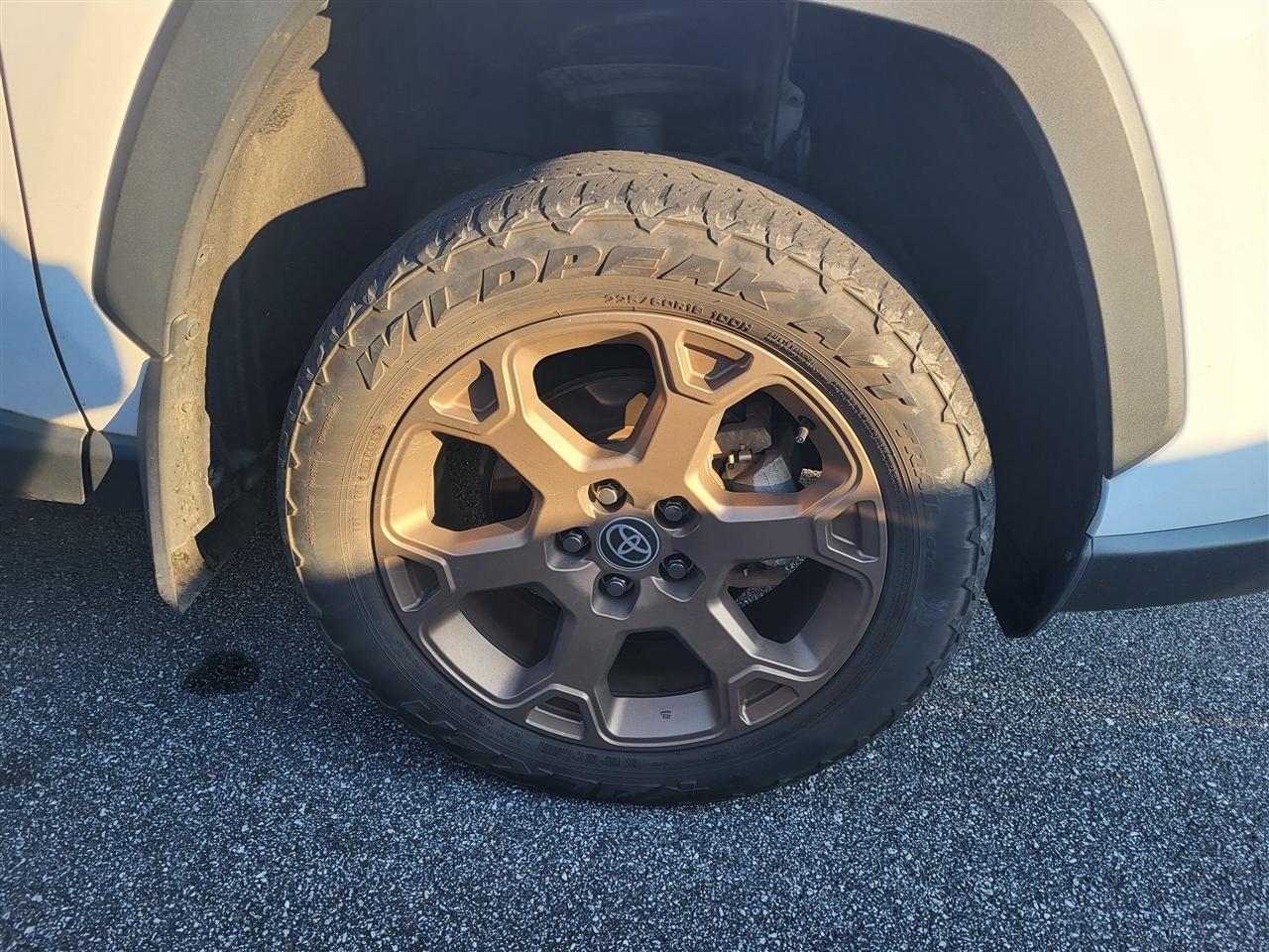 Toyota RAV4 Woodland 2023