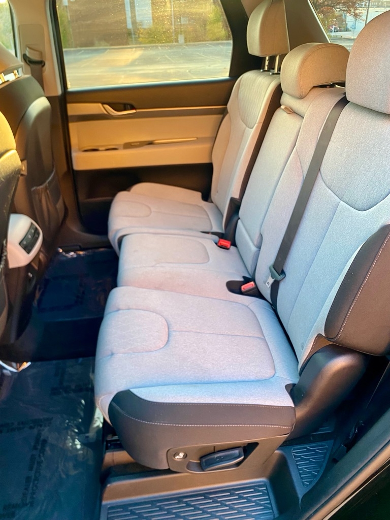 Hyundai Palisade  2020