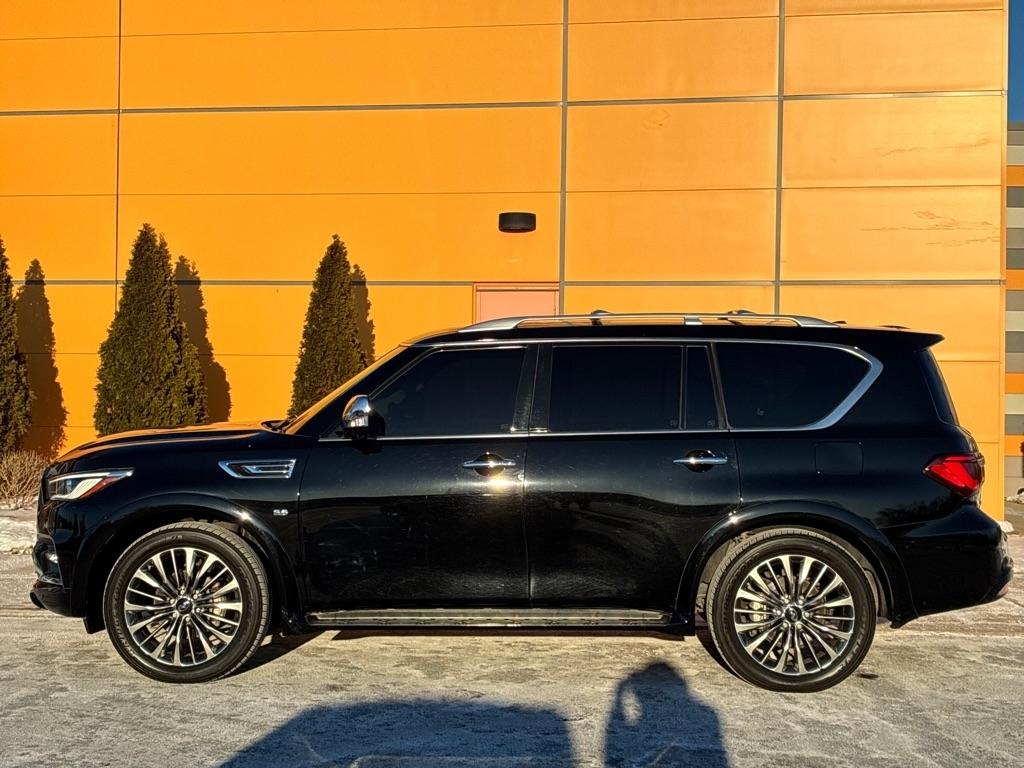 Infiniti QX80  2020