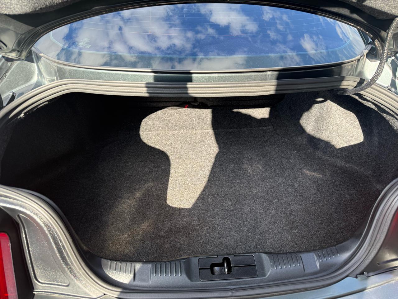 Ford Mustang EcoBoost Coupe 2016