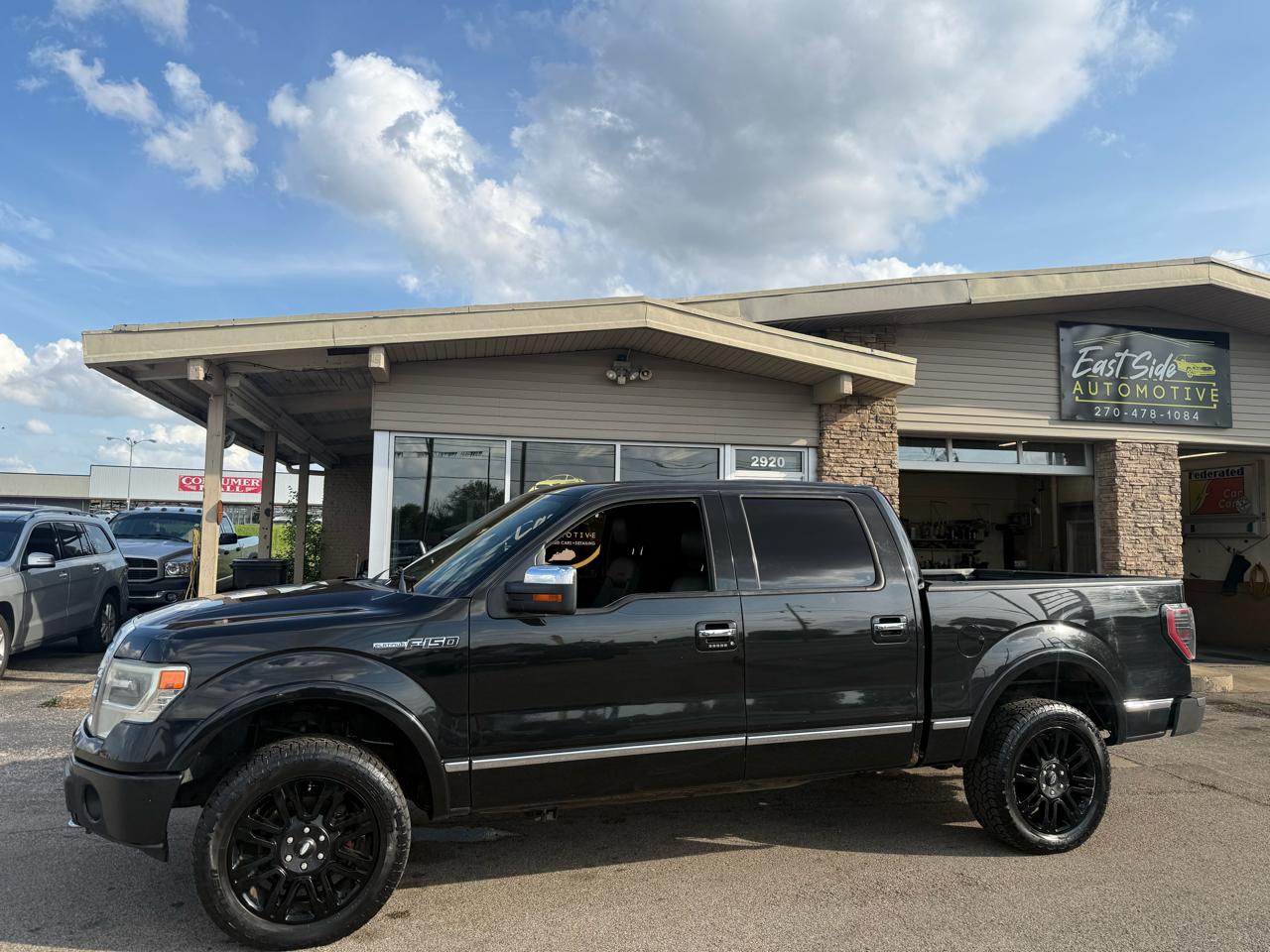 Ford F-150 Platinum 2013