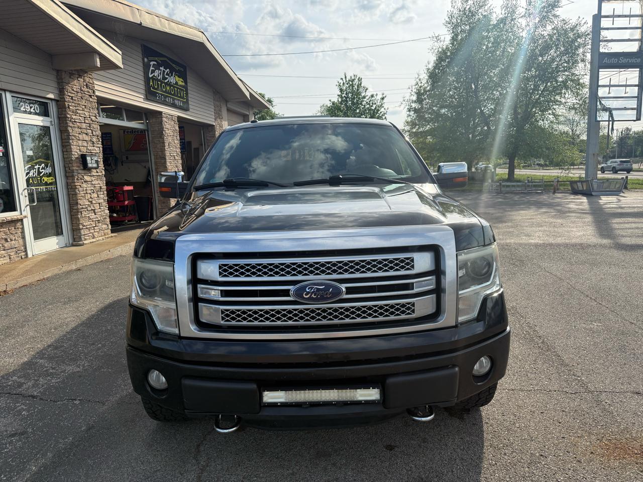 Ford F-150 Platinum 2013