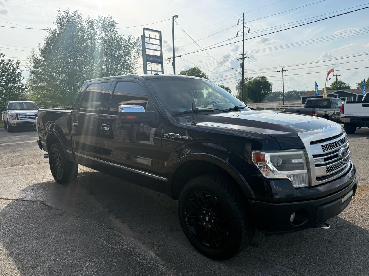 Ford F-150 Platinum 2013