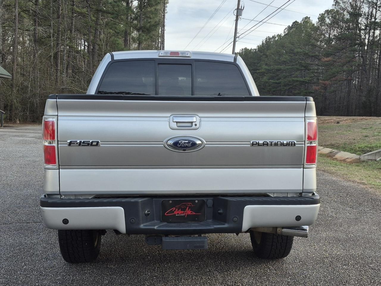 Ford F-150 Platinum 4WD SuperCrew 5.5' Box 2013